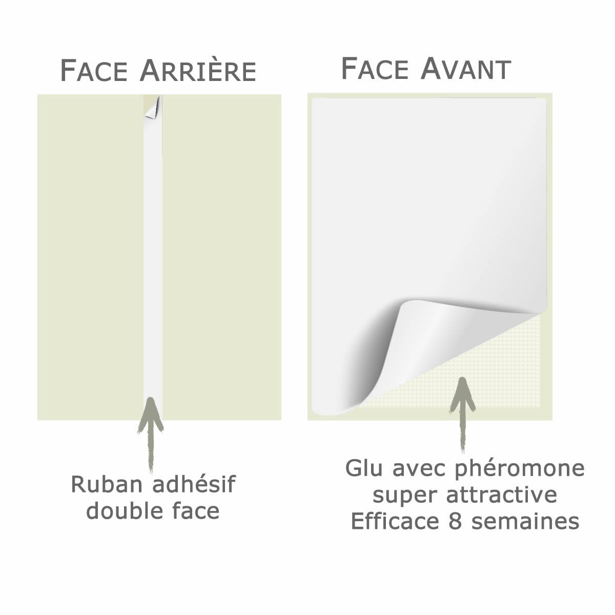 SOLUMITES-Lot de 6 Pièges à Phéromones pour Teignes Alimentaires - Image 3