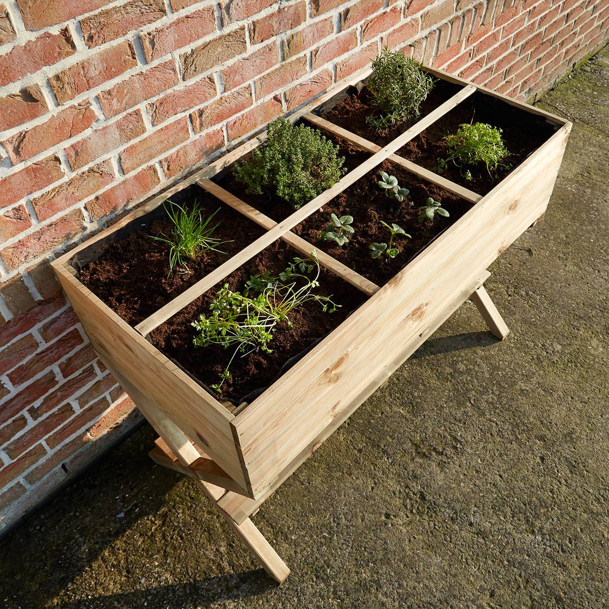 Potager sur pieds croisés - Cémonjardin - Image 3