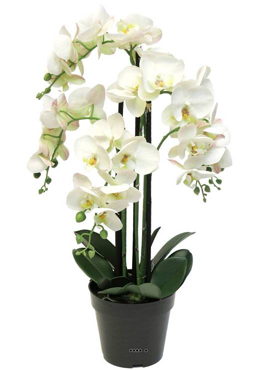 Orchidée Phalaenopsis factice en pot qualité déco H60cm Crème - BEST - dimhaut: H 60 cm - couleur: Crème - Image 2
