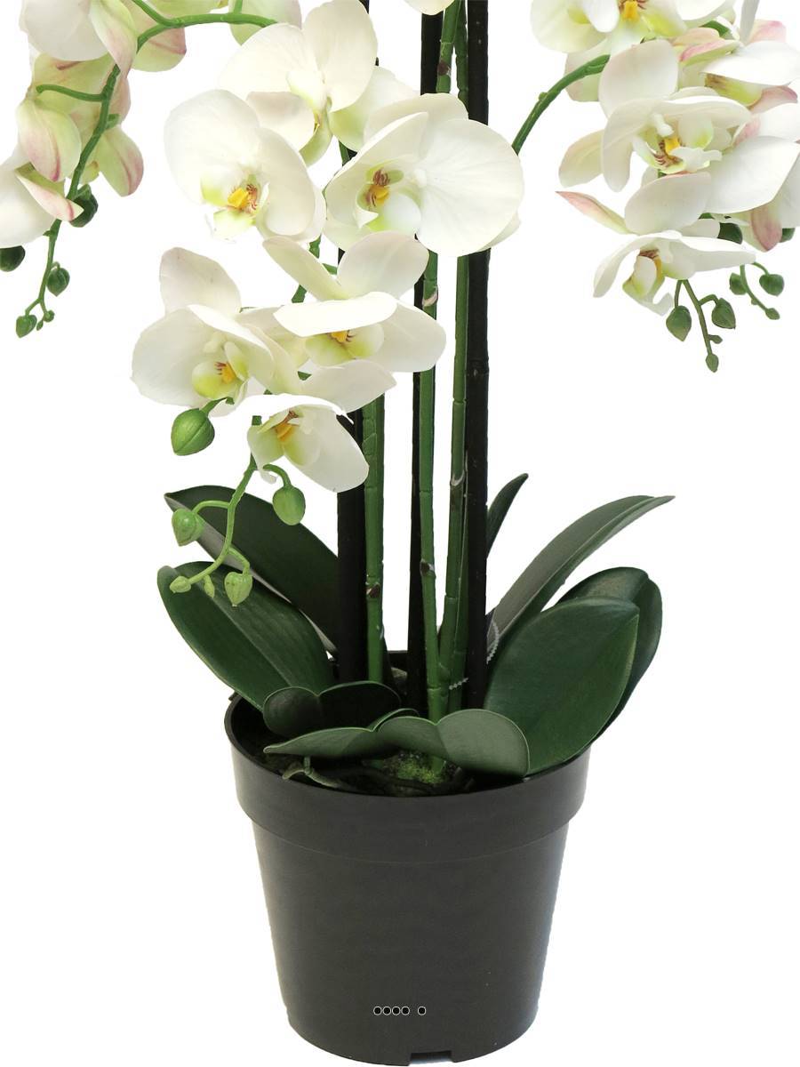 Orchidée Phalaenopsis factice en pot qualité déco H60cm Crème - BEST - dimhaut: H 60 cm - couleur: Crème - Image 4