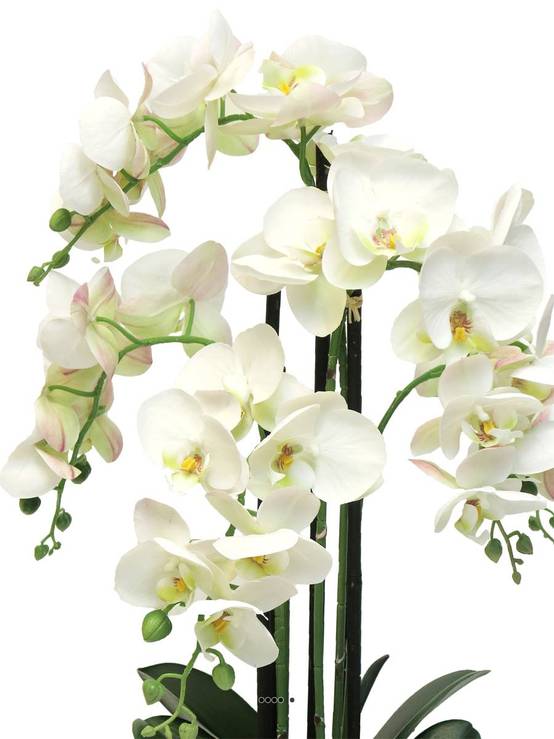 Orchidée Phalaenopsis factice en pot qualité déco H60cm Crème - BEST - dimhaut: H 60 cm - couleur: Crème - Image 3