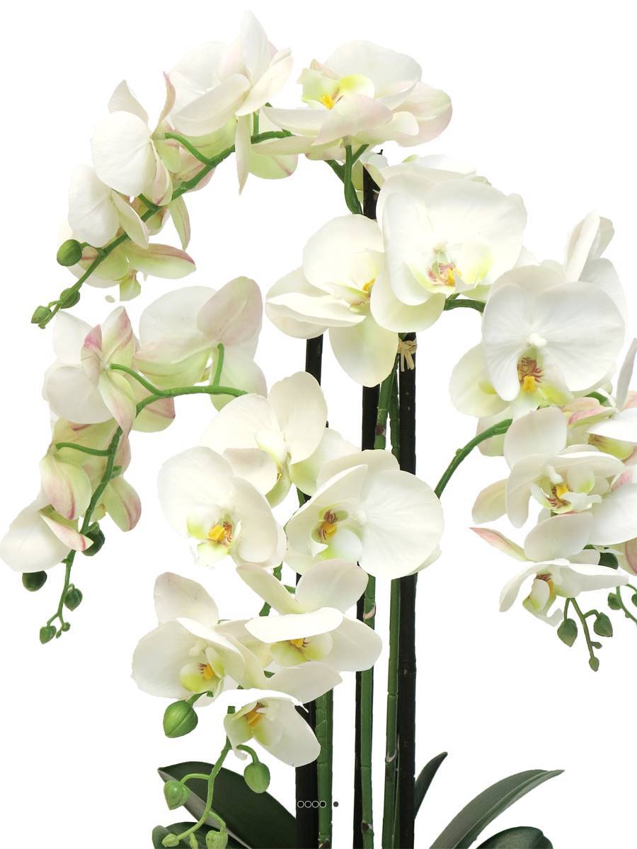 Orchidée Phalaenopsis factice en pot qualité déco H60cm Crème - BEST - dimhaut: H 60 cm - couleur: Crème - Image 3