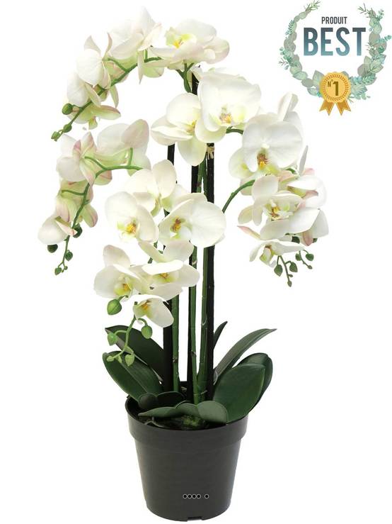 Orchidée Phalaenopsis factice en pot qualité déco H60cm Crème - BEST - dimhaut: H 60 cm - couleur: Crème - Image 1