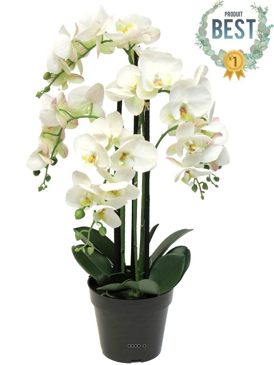 Orchidée Phalaenopsis factice en pot qualité déco H60cm Crème - BEST - dimhaut: H 60 cm - couleur: Crème - Image 1