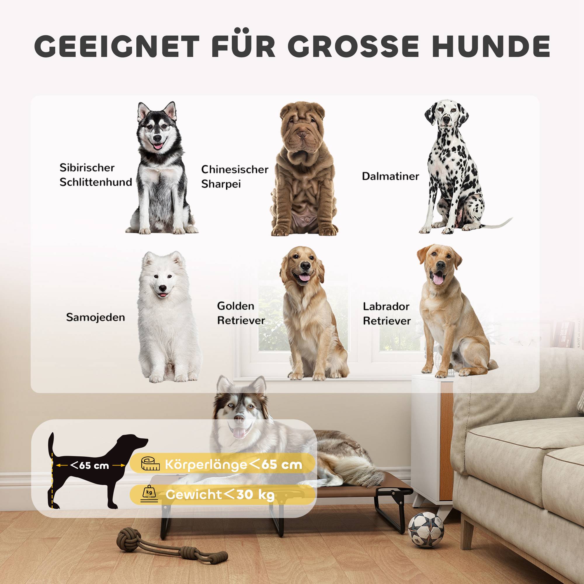 ComfortXL - Lit surélevé pour chien acier et polyester marron 107 x 61 x 20 cm pliable intérieur extérieur maille respirante - Image 8
