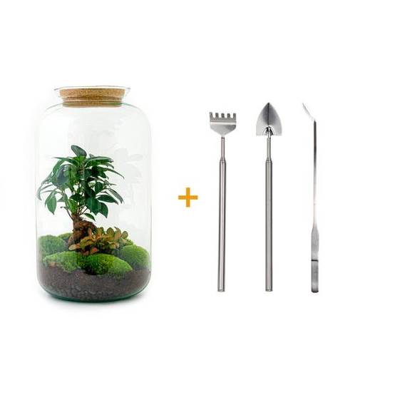 Diy Terrarium - D43 H43cm - Image 3