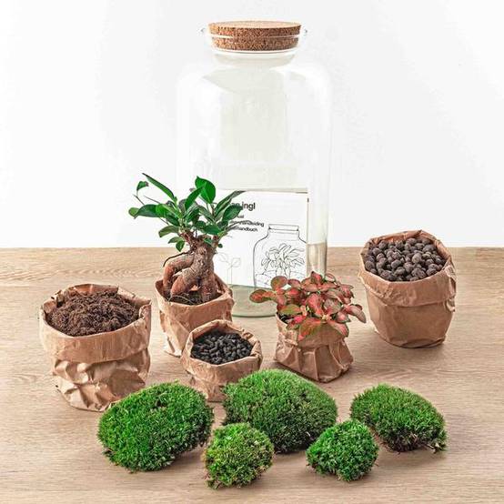 Diy Terrarium - D43 H43cm - Image 4