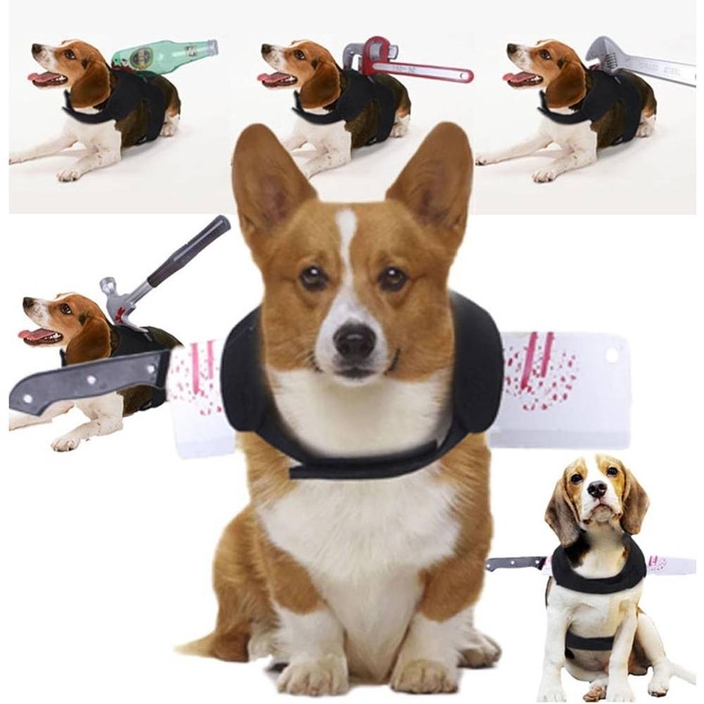 DtopbuyAge - Vêtements d'halloween pour chiens S DtopbuyAge - Image 3