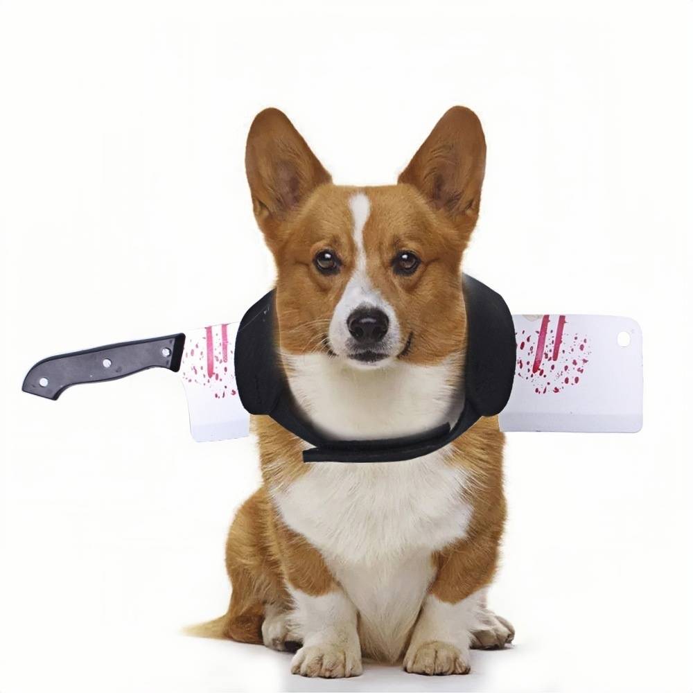 DtopbuyAge - Vêtements d'halloween pour chiens S DtopbuyAge - Image 1