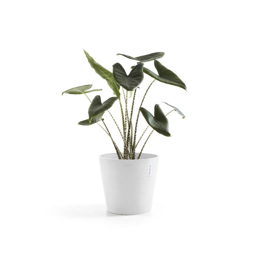 Ecopots - Pot Rond Amsterdam 25 Blanc Pur - Ø 25,4 x H. 24,5 cm - 9,7 L ECOPOTS - Image 2