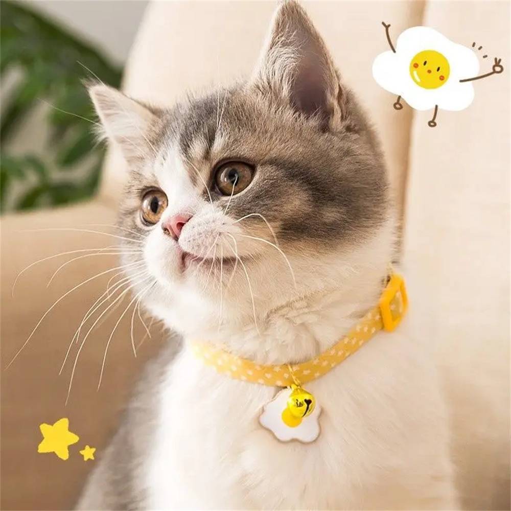 Collier Réglable avec Clochette pour Chaton DtopbuyAge - Image 2