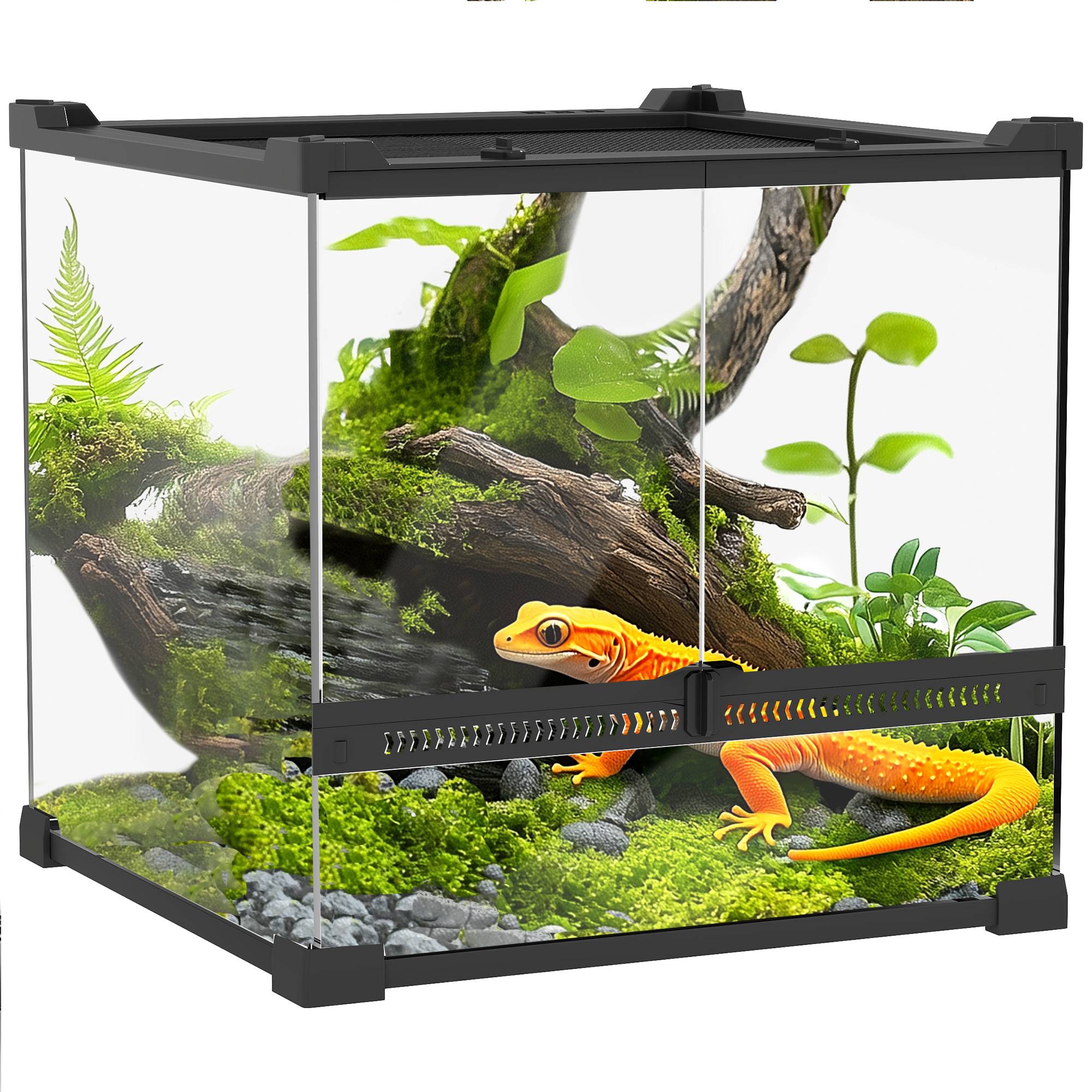Terrarium en verre pour reptiles, fond surélevé étanche, fermeture à bouton - Image 1