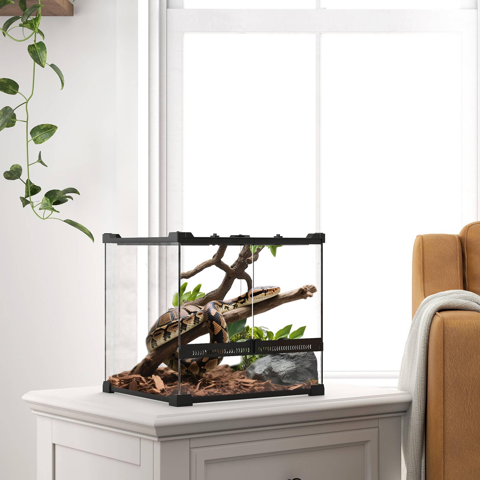 Terrarium en verre pour reptiles, fond surélevé étanche, fermeture à bouton - Image 4