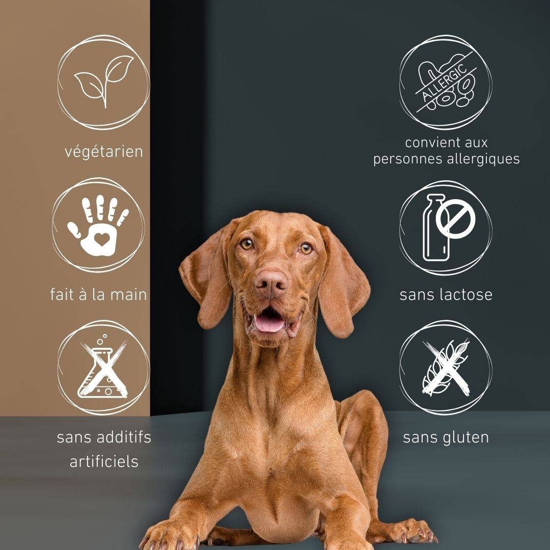 Wildfang - Wildfang - Dog Pops - pop-corn au fromage pour chiens - Image 3