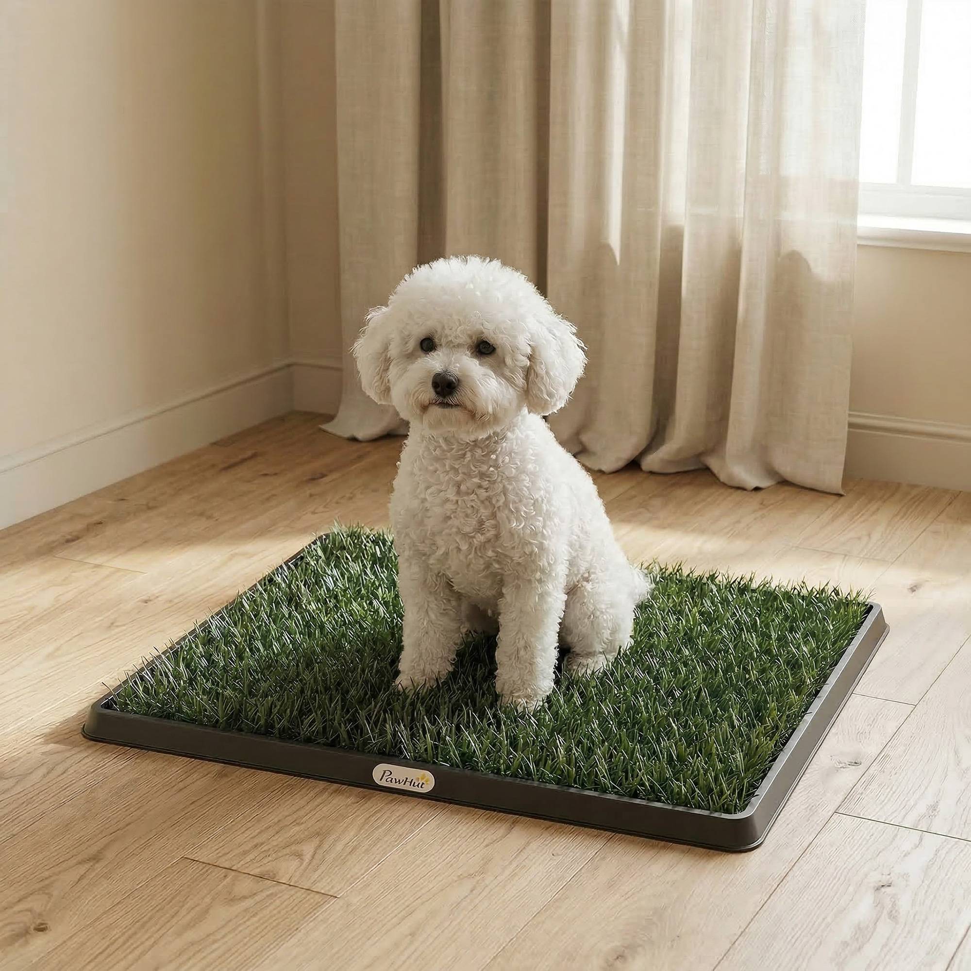 ComfortXL - Toilette pour chien en PP et PE 63 x 50,5 cm bac noir pour maison et balcon avec gazon synthétique drainant