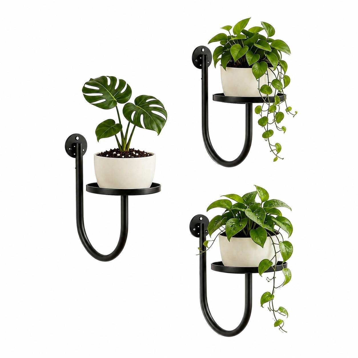 Lot de 3 Supports Muraux Métal Noir Pour Plantes Décoration Intérieure Extérieure - Image 1
