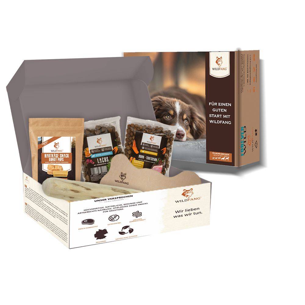 Wildfang - Pack chiot « Bienvenue Compagnon » - pour petits chiens jusqu'à 10 kg - Image 1