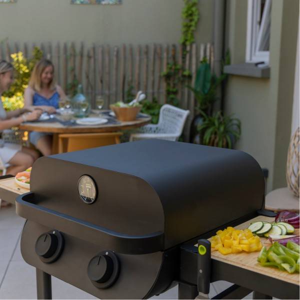 Barbecue électrique - FLAVO 50 SC ELEC - Image 2