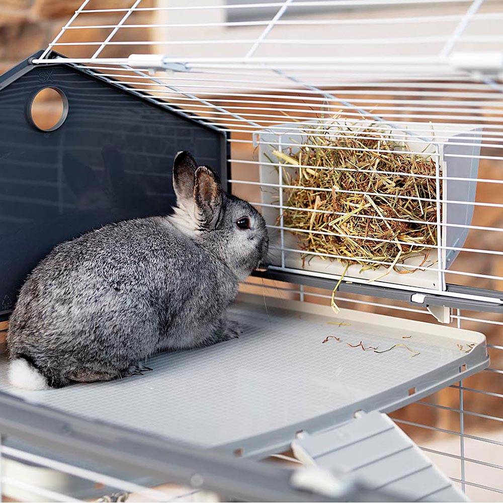Ferplast - Cage pour Lapins et Petits Animaux BARN 100 DOUBLE, 3 étages, Toit Ouvrant, Accessoires et Adhésifs inclus - Image 6