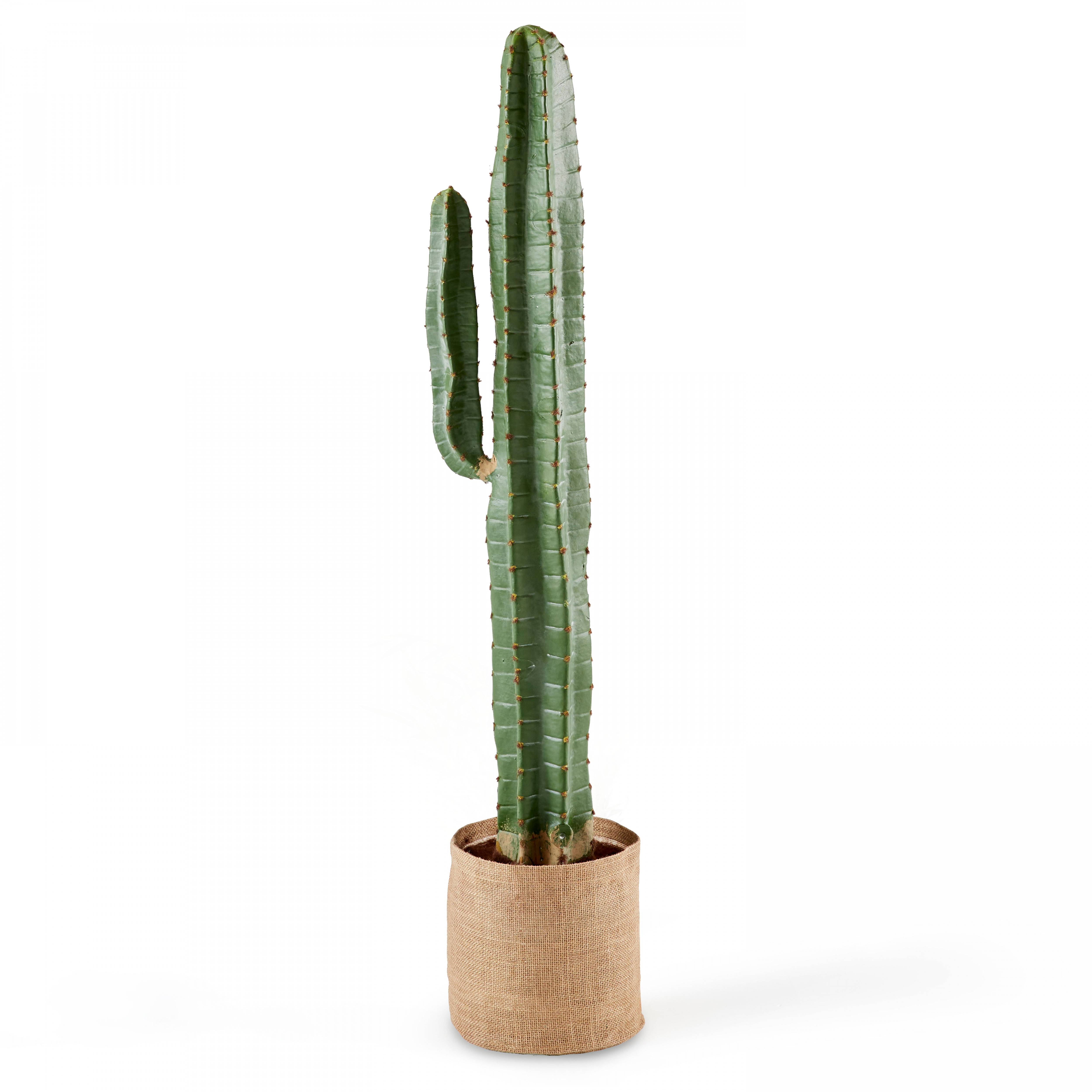 Oviala - Plante artificielle en pvc cactus  - Oviala - Image 1