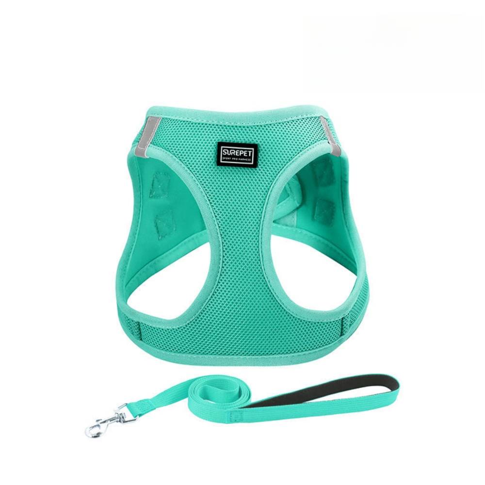 IntiMeg - Harnais pour chats et chiens xl - IntiMeg - Image 5
