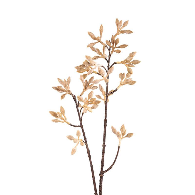 Fleur Artificielle Brindille Firmiana Beige en Polyester Haute Tige 79cm - Image 1