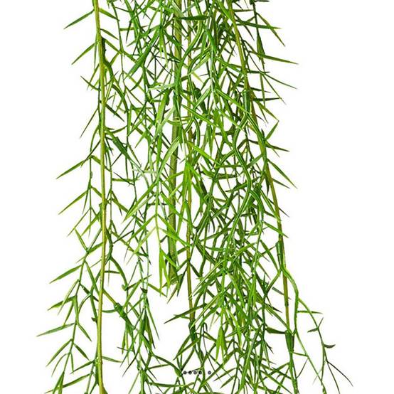 Chute d'asparagus artificiel L 100 cm D 17 cm 3 ramures - Image 3