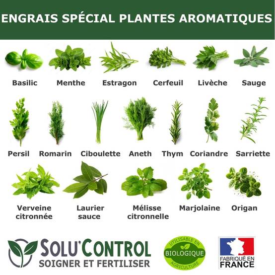 SOLU’CONTROL - 250 g - Engrais Spécial Plantes Aromatiques NPK 6-3-6 Favorise un feuillage dense, intensément parfumé et vigoureux - UAB - Image 3