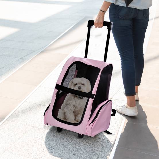 Sac à dos de transport trolley pour chien chat en métal Oxford aéré rose 55cm - ComfortXL Outdoor Living - Image 3