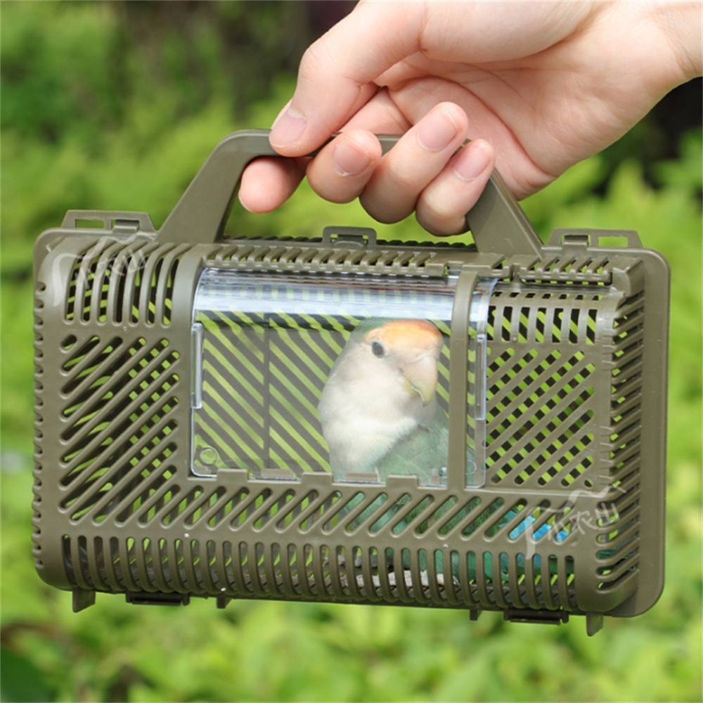 Cage de transport pour perroquet - Image 6