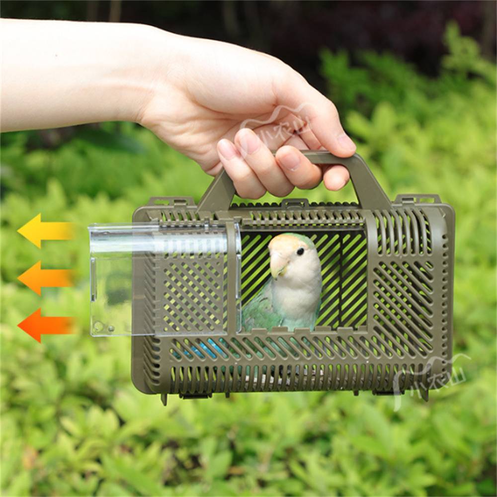 Cage de transport pour perroquet - Image 3