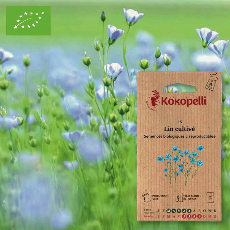 Association Kokopelli - Lin Cultivé- Graines bio à semer - Image 1