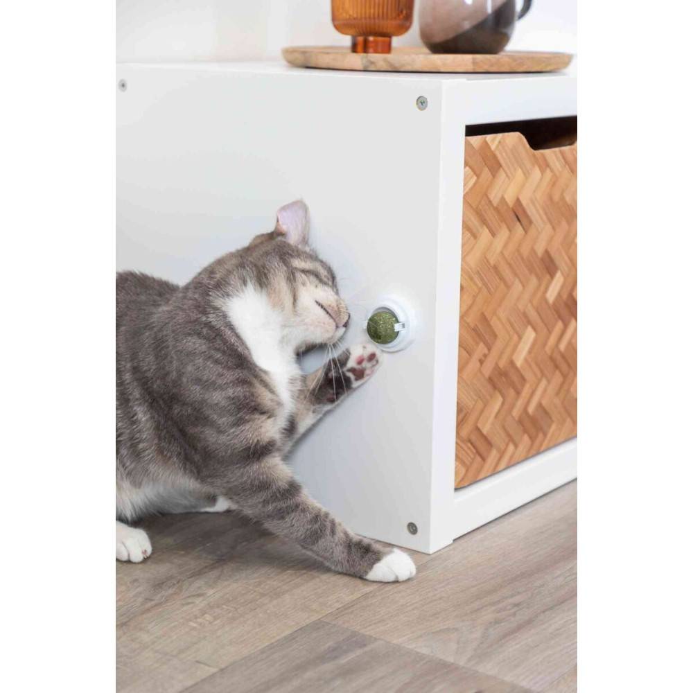 Trixie - Boule d'herbe à chat avec support - Image 8