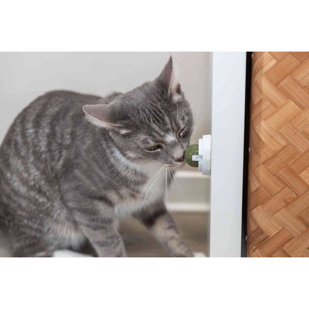 Trixie - Boule d'herbe à chat avec support - Image 9