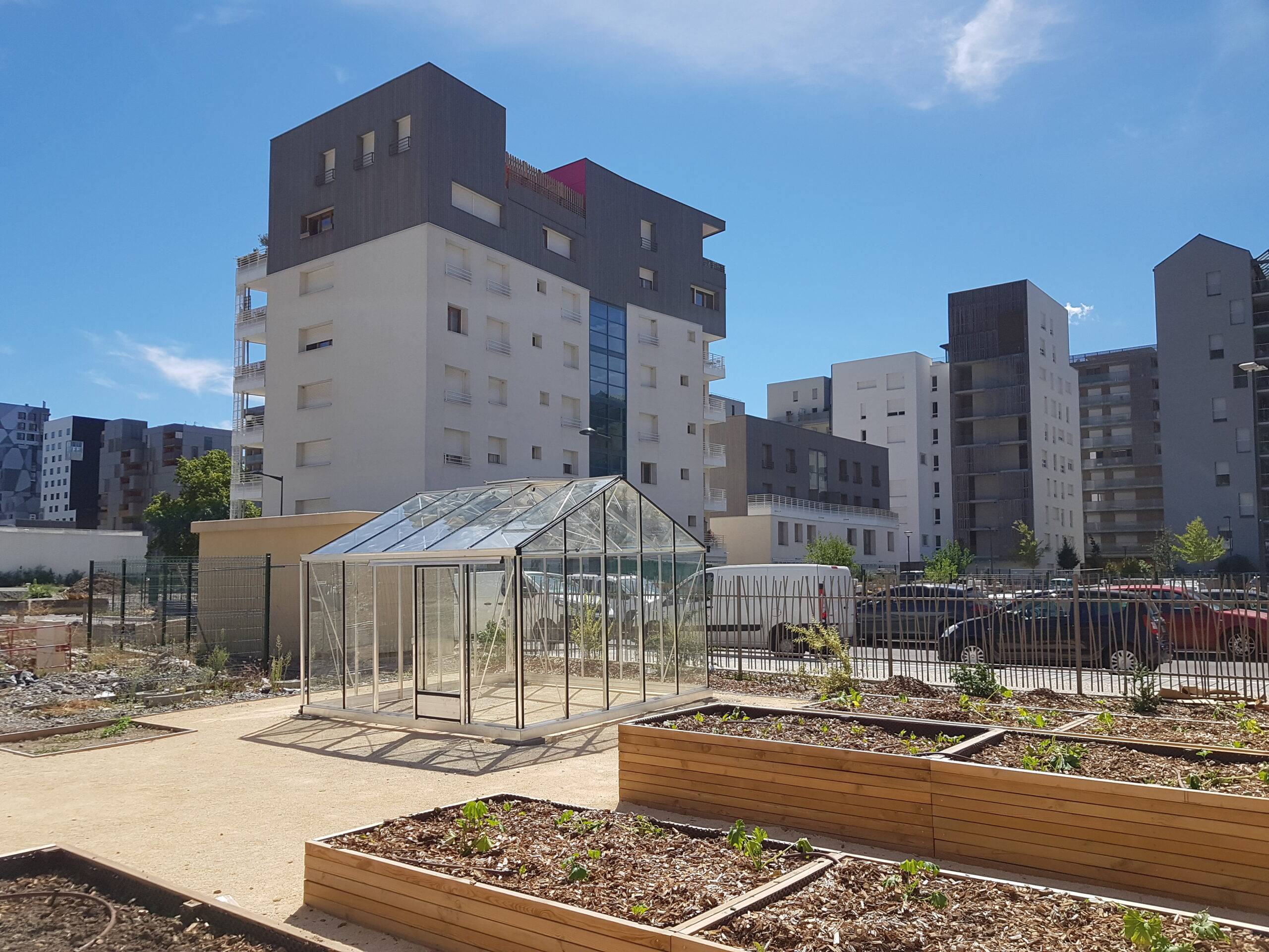 20m² - Serre en verre trempé - Euro Plus - Alu - 20m² - ALUMINIUM - L'atelier Des Serres - Image 3