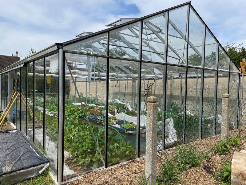 20m² - Serre en verre trempé - Euro Plus - Alu - 20m² - ALUMINIUM - L'atelier Des Serres - Image 4