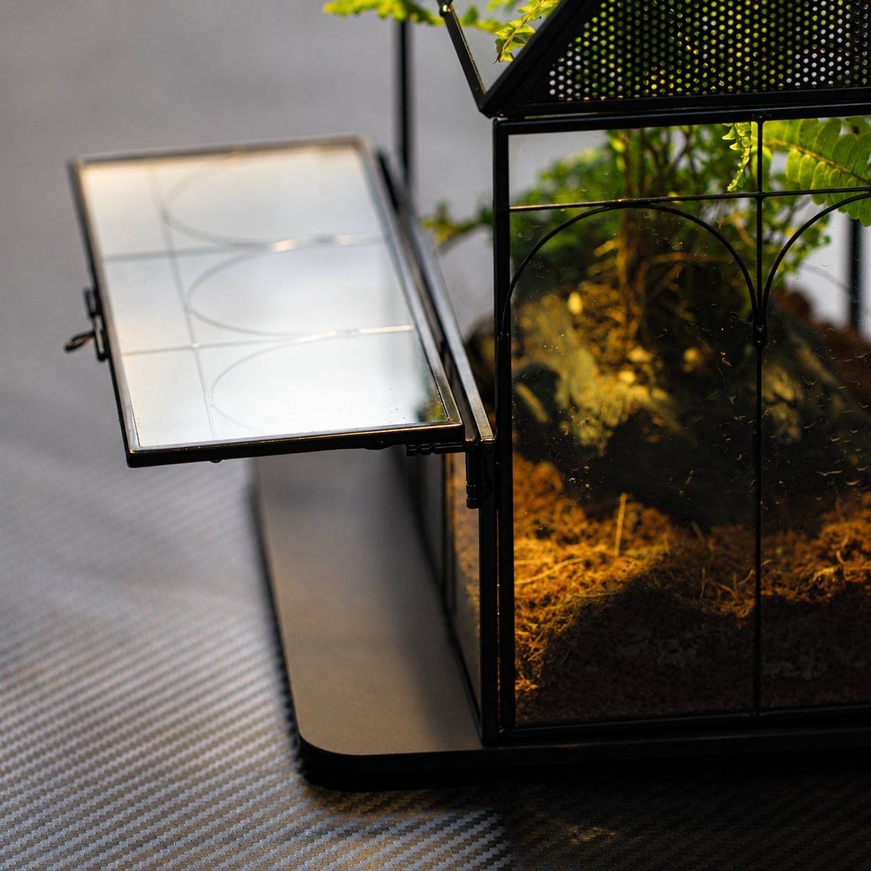 Terrarium Géométrique En Verre Et Métal Ventilé Pour Plantes Et Décoration Intérieure - Image 7