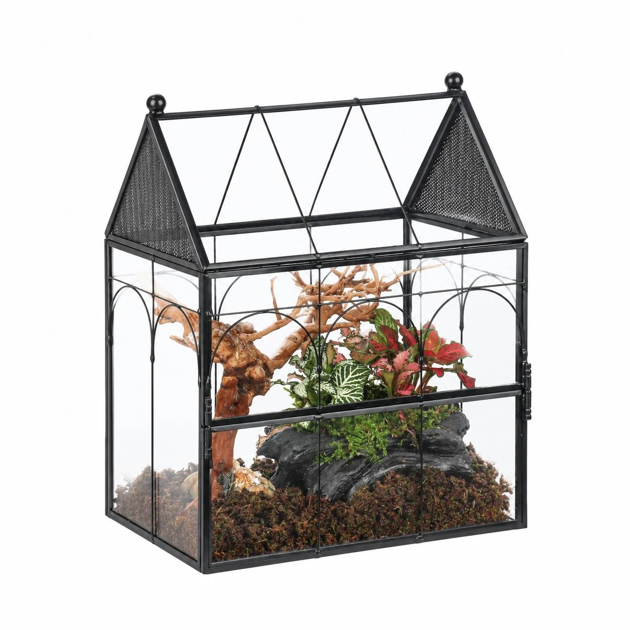 Terrarium Géométrique En Verre Et Métal Ventilé Pour Plantes Et Décoration Intérieure - Image 1