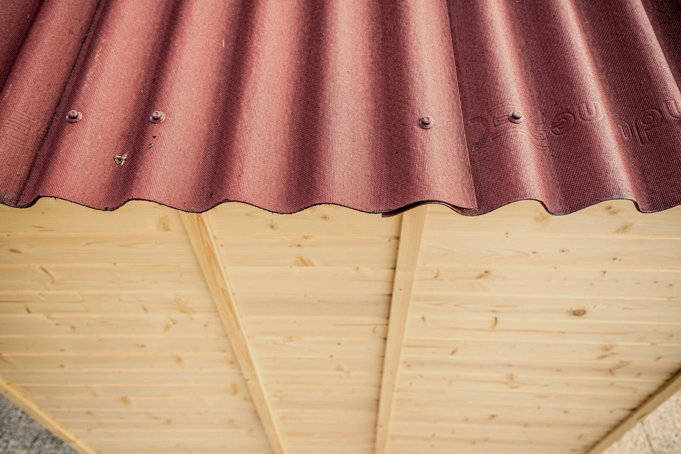 Habrita - Abri Panneau bois massif sans plancher / 16 mm / surface extérieure : 9,00 m2 / toiture plaques ondulées plus grande longévité - Image 6