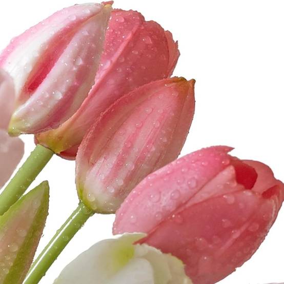 Bouquet de 10 Tulipes Artificielles Rose - Matière PU Souple et Réaliste - Décoration Élégante - Lytech - Image 2