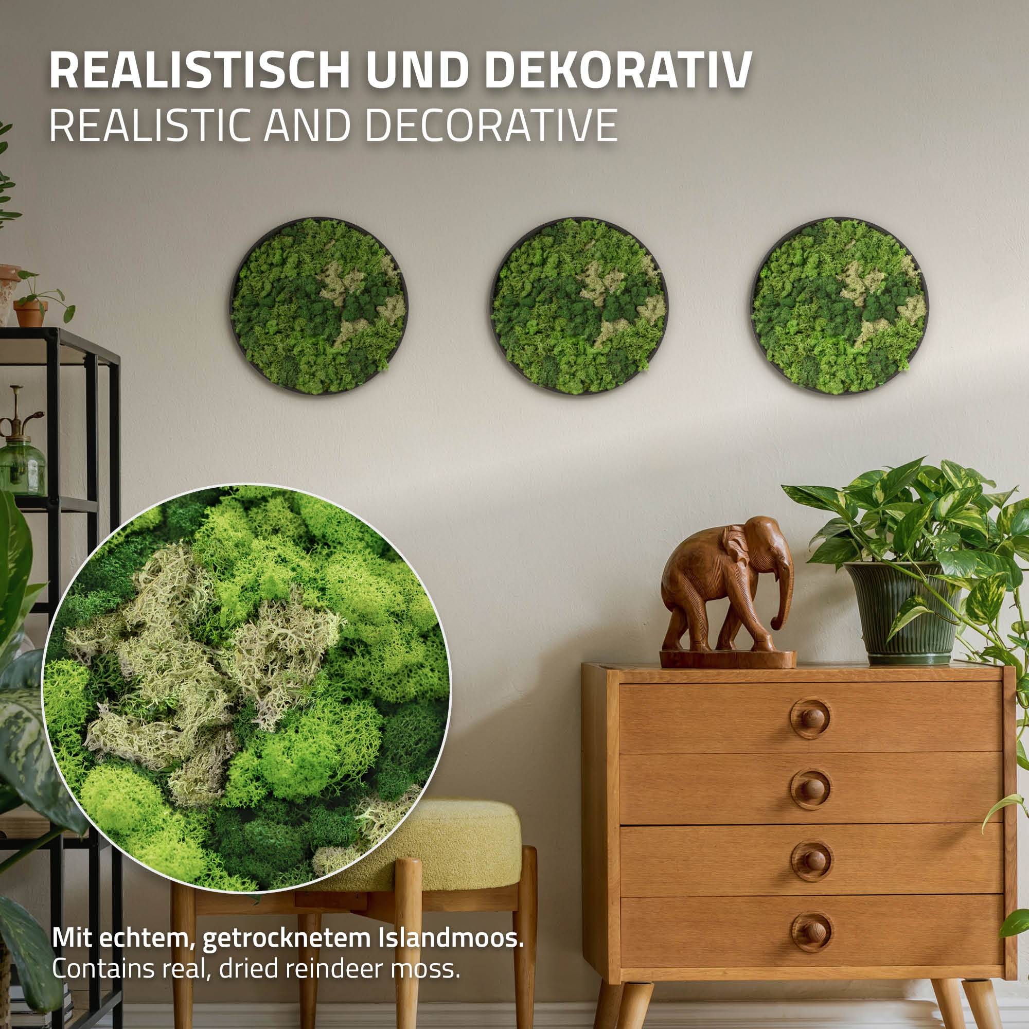 Ecd-Germany - Tableau en mousse de renne stabilisée, ronde Ø 30 cm, vert, décoration murale végétale d'intérieur, cadre en MDF, effet 3D, sans arrosage ni entretien - Image 3