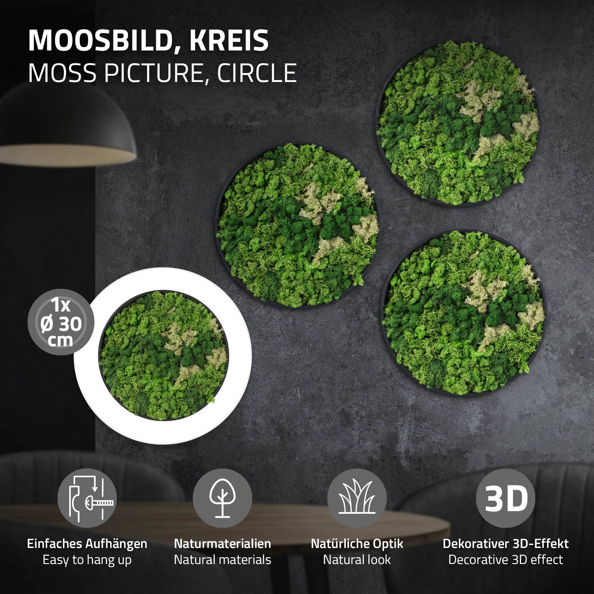 Ecd-Germany - Tableau en mousse de renne stabilisée, ronde Ø 30 cm, vert, décoration murale végétale d'intérieur, cadre en MDF, effet 3D, sans arrosage ni entretien - Image 2