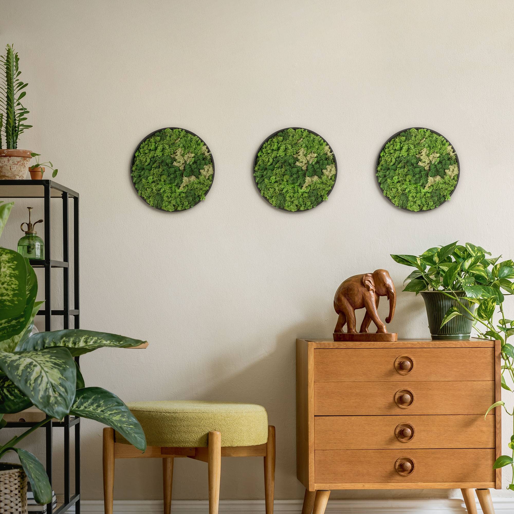 Ecd-Germany - Tableau en mousse de renne stabilisée, ronde Ø 30 cm, vert, décoration murale végétale d'intérieur, cadre en MDF, effet 3D, sans arrosage ni entretien - Image 9