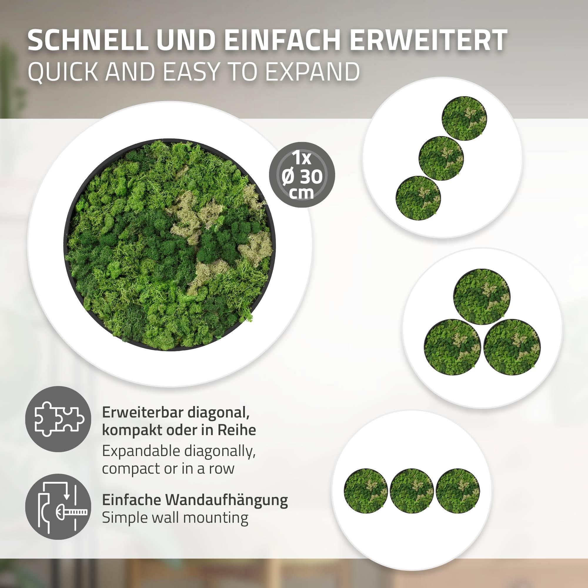 Ecd-Germany - Tableau en mousse de renne stabilisée, ronde Ø 30 cm, vert, décoration murale végétale d'intérieur, cadre en MDF, effet 3D, sans arrosage ni entretien - Image 4