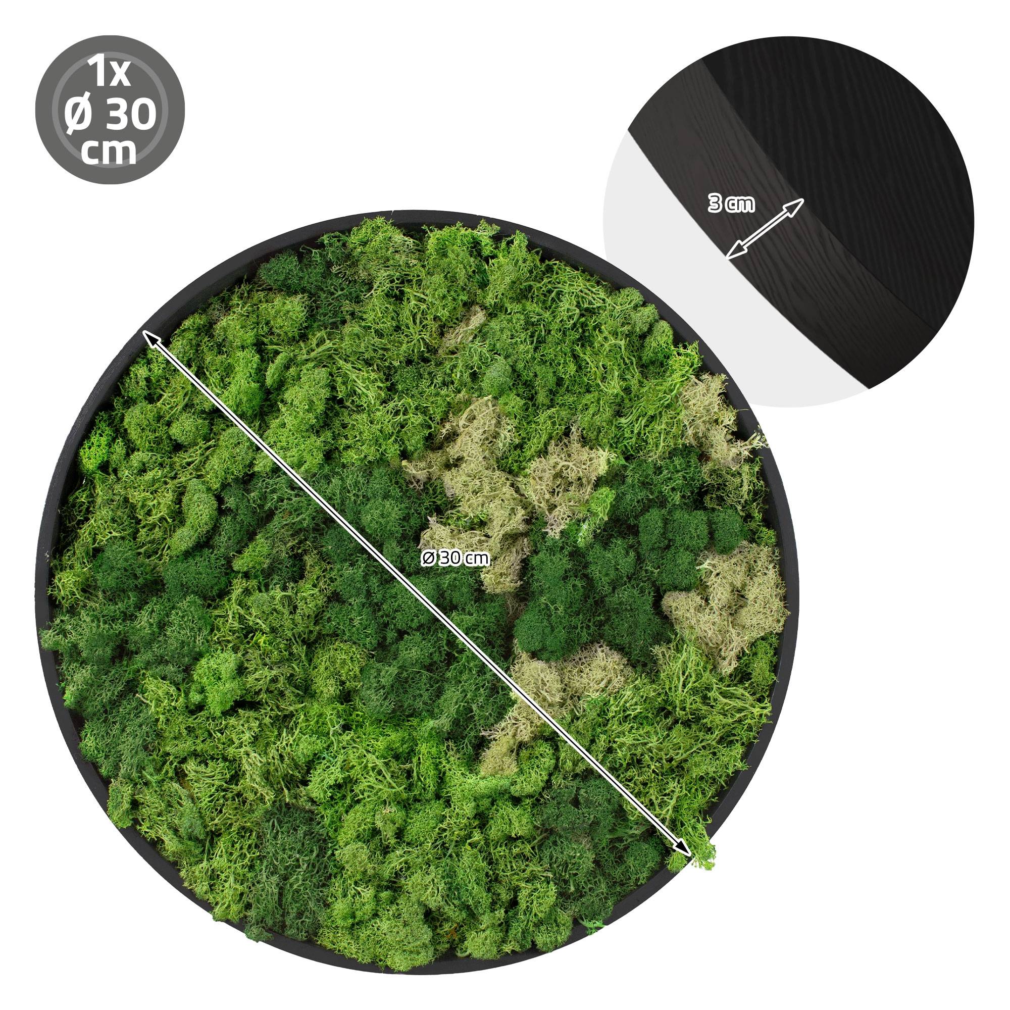 Ecd-Germany - Tableau en mousse de renne stabilisée, ronde Ø 30 cm, vert, décoration murale végétale d'intérieur, cadre en MDF, effet 3D, sans arrosage ni entretien - Image 8