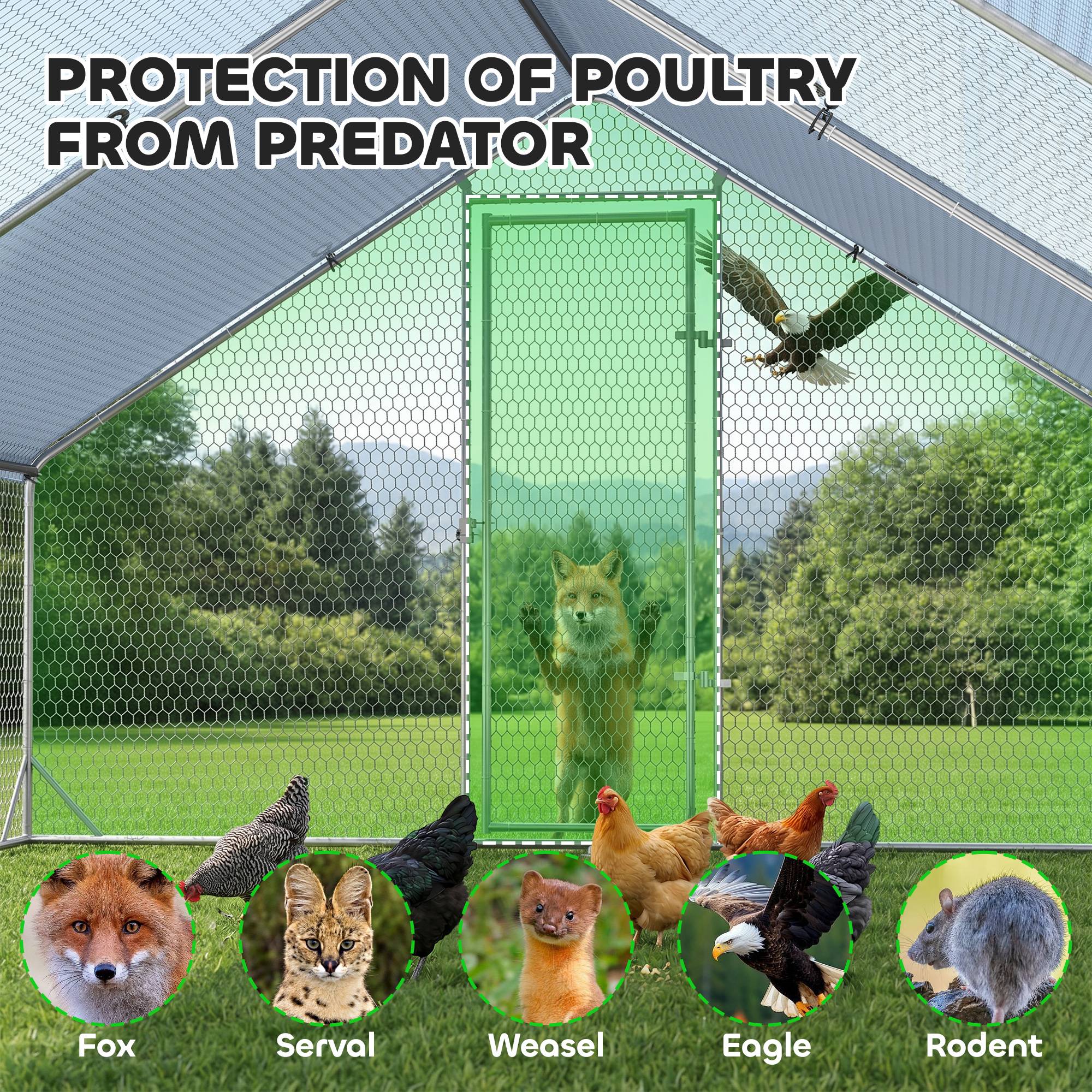 Poulailler, enclos en plein air, poulailler avec toit ombragé, parcours extérieur pour 4 à 6 poules, canards, lapins, 3 x 2 x 2 m - Image 10