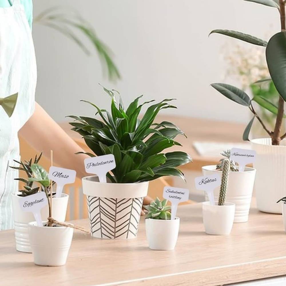 100 étiquettes pour plantes sans stylo - IntiMeg - Image 4