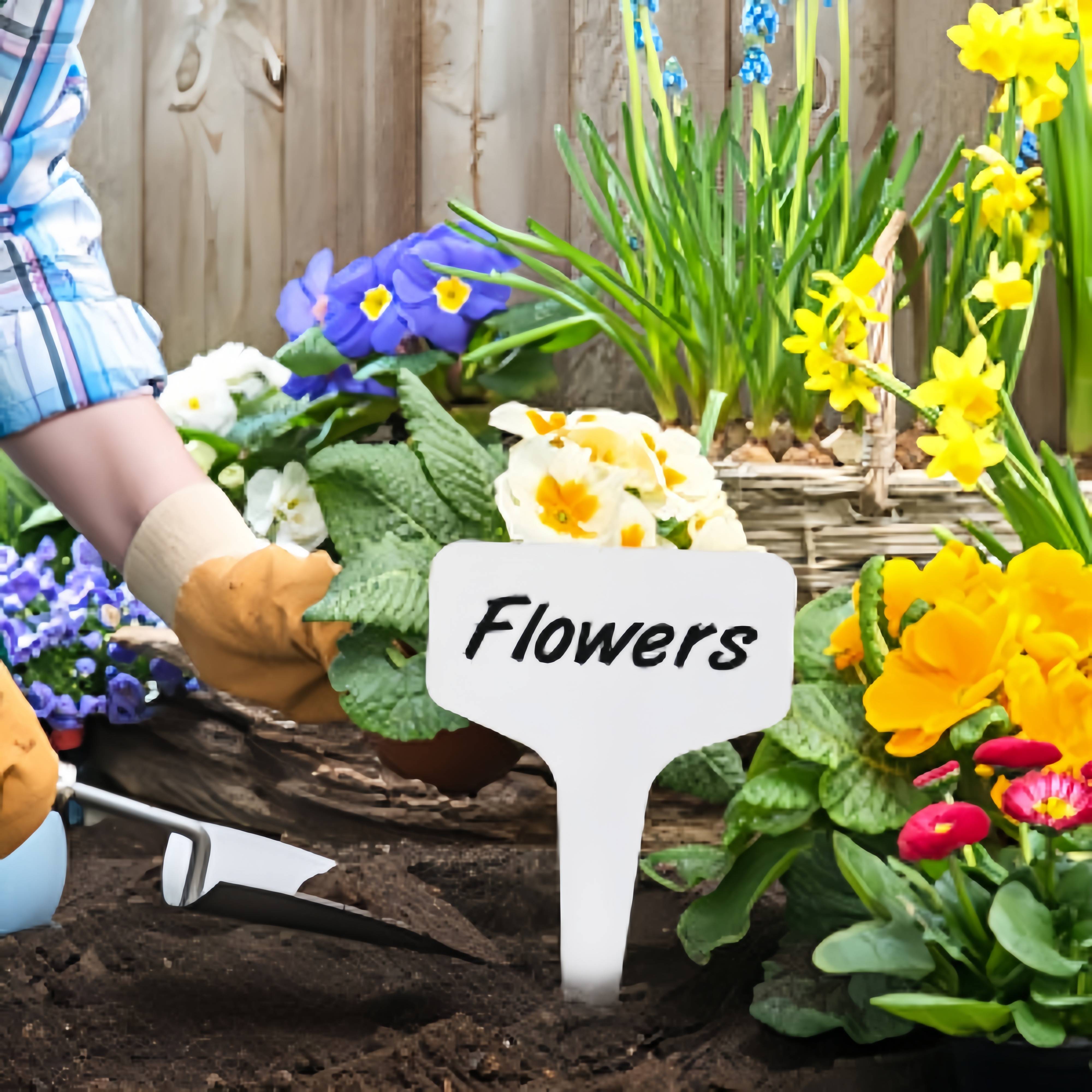 100 étiquettes pour plantes sans stylo - IntiMeg - Image 2