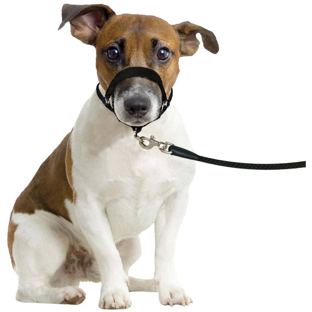 Harnais de dressage de tête museliere- noir XS - pour chien - Image 1