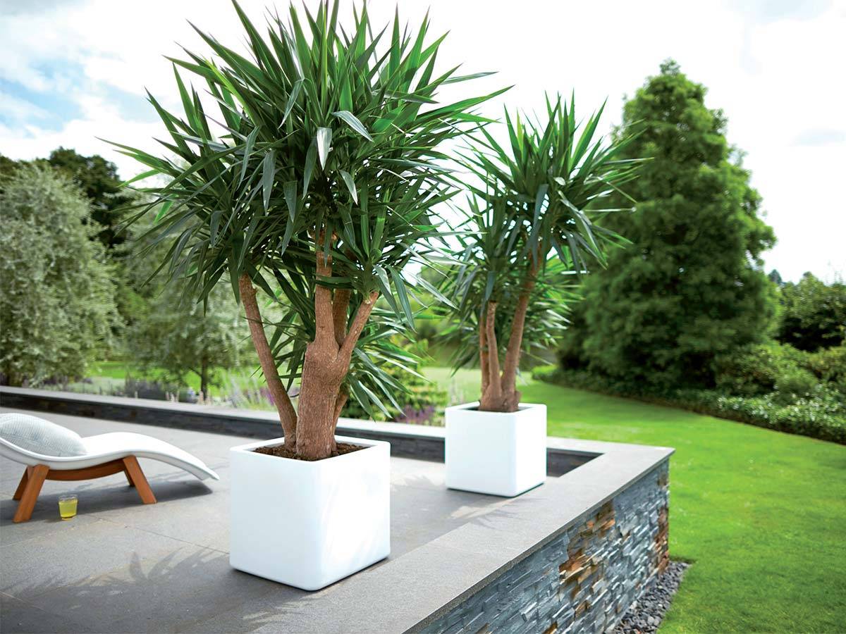Pot de fleurs Pure Soft Brick 50 x H.50 cm - Blanc - Image 4